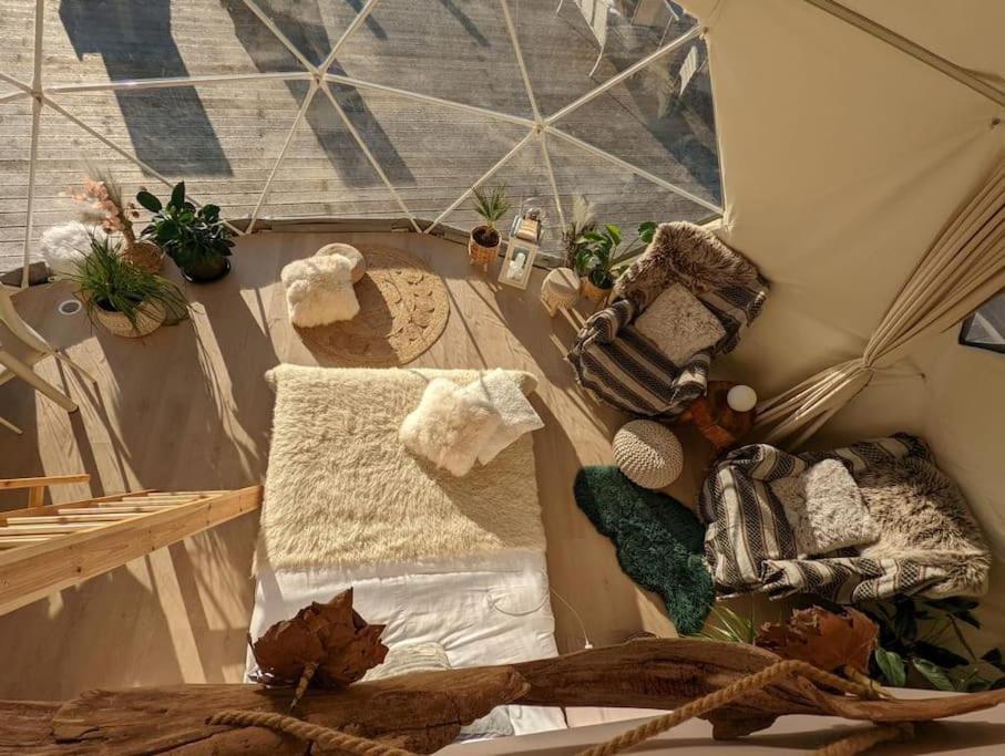 מלון Wapnica  Beautiful Located Dome מראה חיצוני תמונה